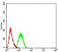 Mouse Monoclonal Antibody to DNMT3A